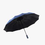 BMW Motorsport Umbrella-16 Ribs